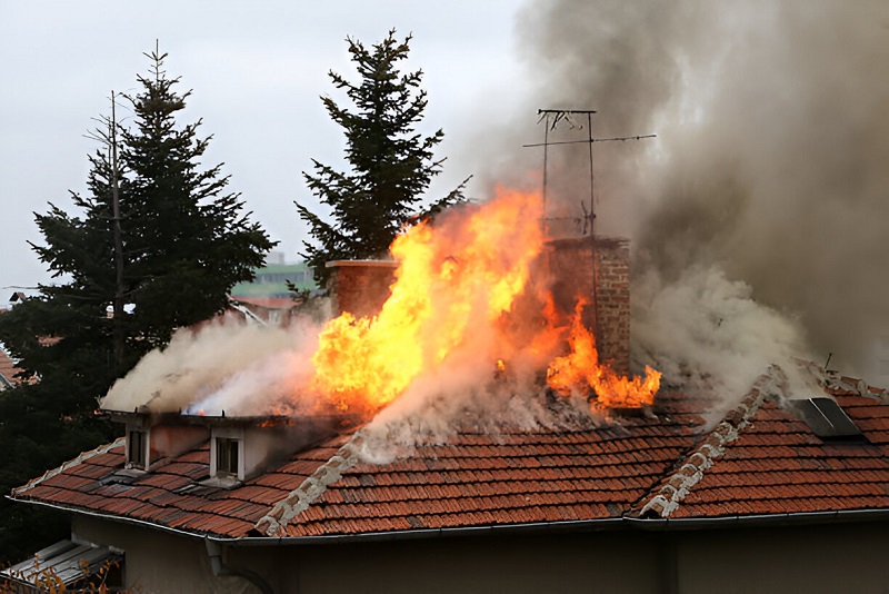 steptodown.com517291